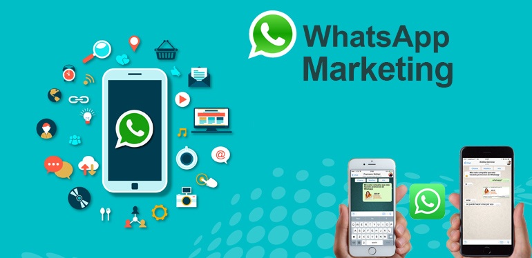 Whatsapp Marketing
